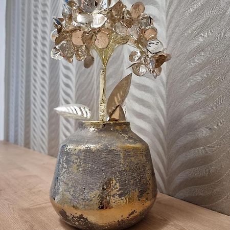 Bivio Apartment Dolna Banská Štiavnica 外观 照片
