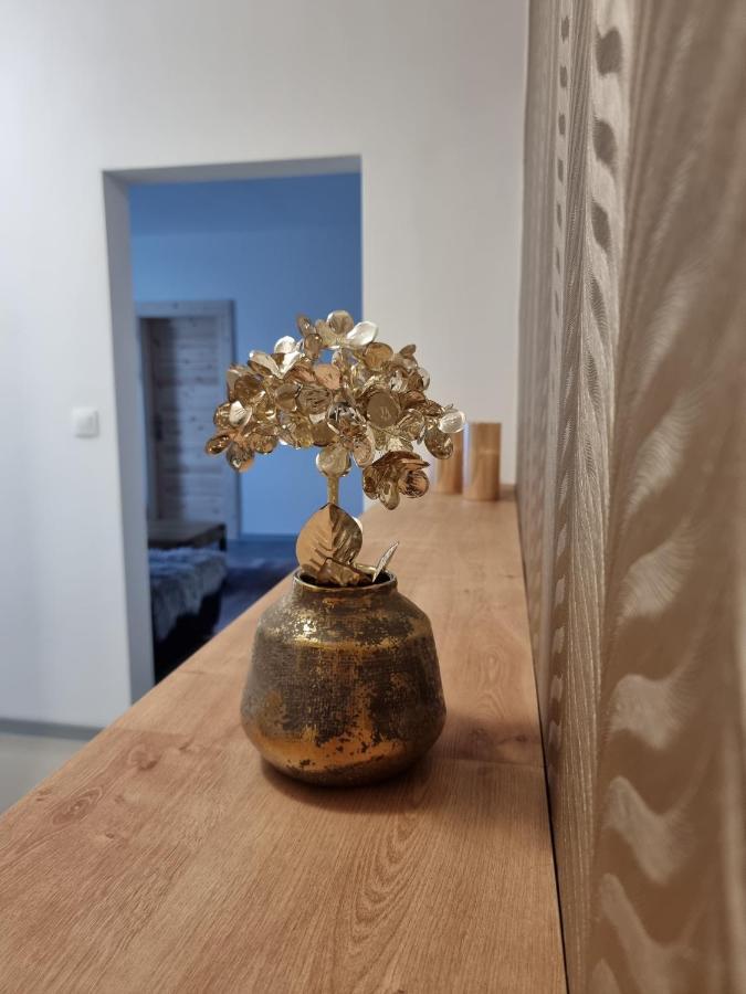 Bivio Apartment Dolna Banská Štiavnica 外观 照片